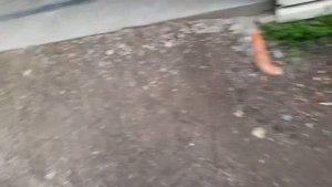 Mitsubishi Satoh ST-1300 13KM + Przyczepka Mini Traktorek Japoński