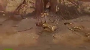 История рыбаков Большого Увата.mp4