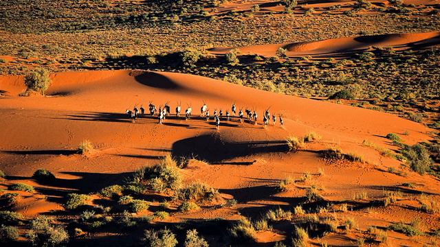 Namibia  Намибия 