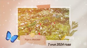 Утро в Москве 7 мая 2024 года