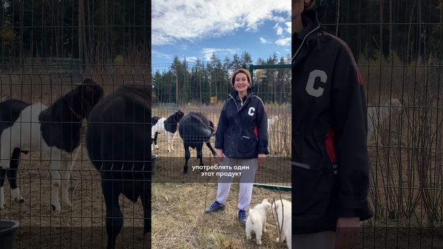 Что делать если у вас непереносимость лактозы? смотреть онлайн