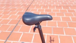Dahon HAT060 Dream D6 @xedaptot