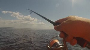 Открытие лодочного сезона на Рыбинском водохранилище. Ловля окуня. Крупный окунь на вибы.