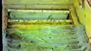 Осенние работы на пасеке