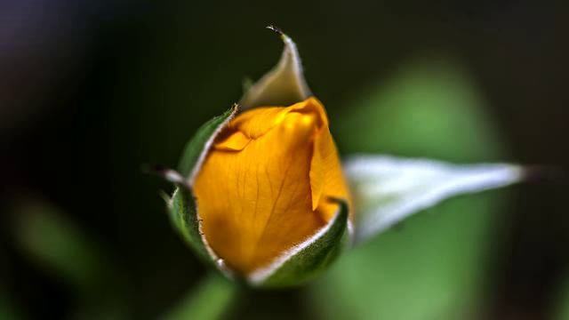 Сборник клевых русских песен о любви онлайн смотреть онлайн