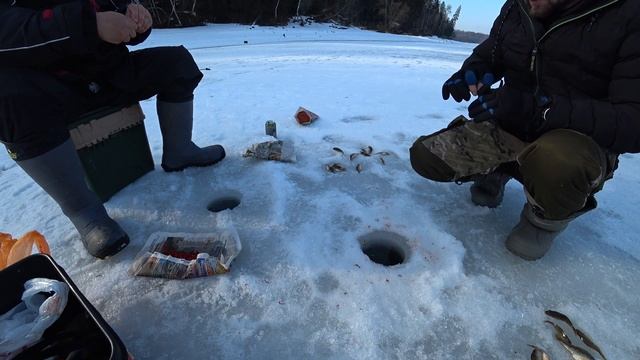 рузское водохранилище.зимняя рыбалка. 22.02.2020 смотреть онлайн