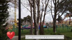Нашел во время прогулки бездомных кошек в парке аттракционов в Геленджике и решил их покормить