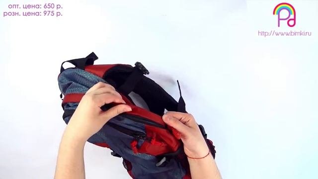 ОБЗОР | ШКОЛЬНЫЙ РЮКЗАК в школу ??| Интернет магазин рюкзаков и портфели для школы ? BACKPACK