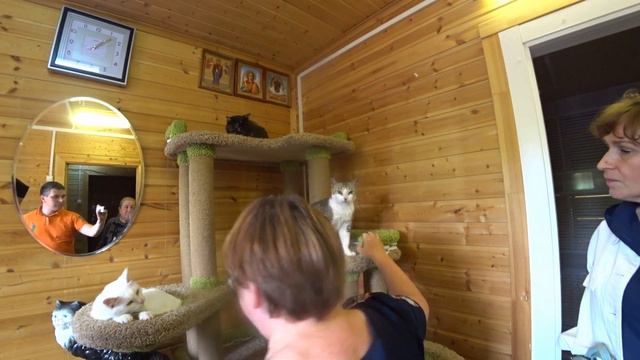Батюшка в "Лесной сказке" приюте для животных г. Архангельск