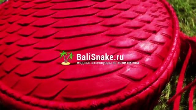 Модные сумки из кожи питона с острова Бали (Индонезия)