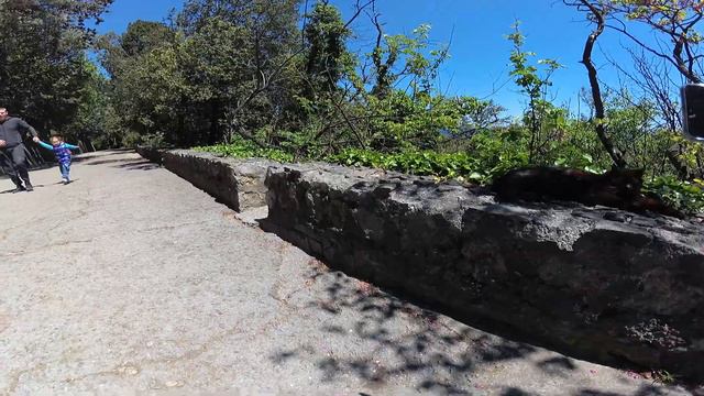 Воронцовский парк. Крым 2022 смотреть онлайн