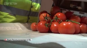 С начала 2023 года пресечен ввоз из-за границы 380 тонн зараженной продукции