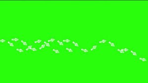 ФУТАЖ  -ЛЕНТА  - ХРОМАКЕЙ НА ЗЕЛЕНОМ ФОНЕ