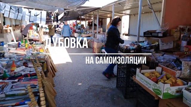 ДУБОВКА НА САМОИЗОЛЯЦИИ смотреть онлайн