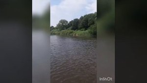 Неман спорт + Baltmotors 35