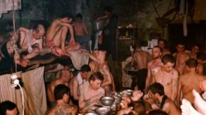 Мопс Дядя Пёс как стал известным