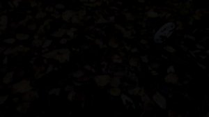 Нашел в лесу китайские фанзы