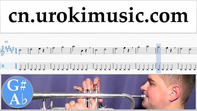 小号教学 Silvestre Dangond Nicky Jam - Cásate Conmigo 指法谱 第1部分 um-i791 смотреть онлайн