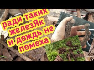 Показали место где копали хороший металл ,поехал проверить,Накопал много хороших железяк!!!