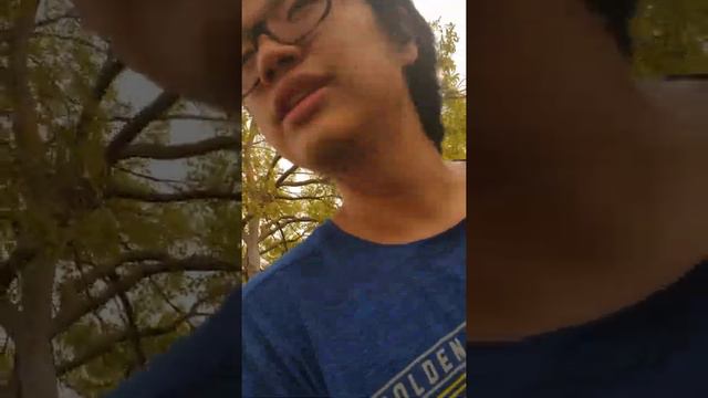 ON THE ROAD REVIEW: Bang Black Cherry Vanilla Energy Drink in Sepia Skies смотреть онлайн