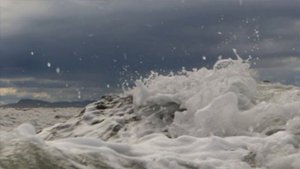 Звезда рыбака