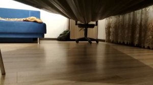 Апачи 3700 НДНД Первое знакомство