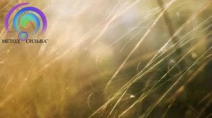 Развитие интуиции. Медитация «Связь с Источником» по методу Сильва
