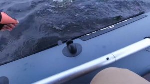 Темрюк лиманы 2021 щука. Komomo 2.