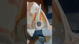 Органы чувств. Вспомогательный аппарат глаза