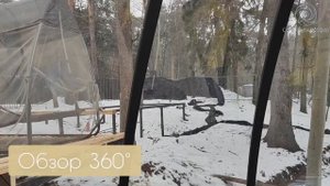 Панорамная сфера / Купольная беседка для загорода