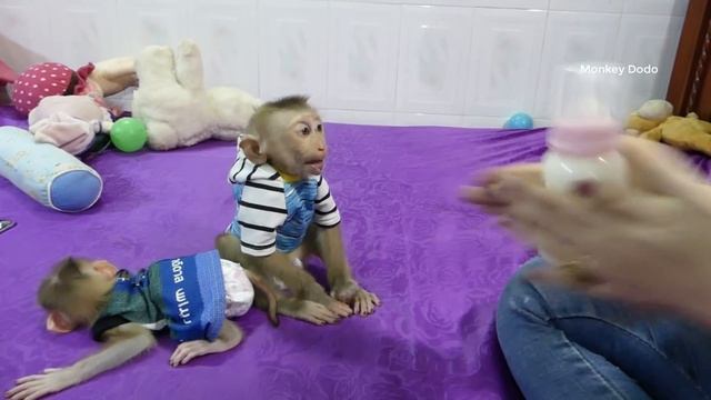 OhhG0d!! Moly CryTatrum Angry Mom Take Battle Over From Him | Moly Zuji Hungry Milk смотреть онлайн