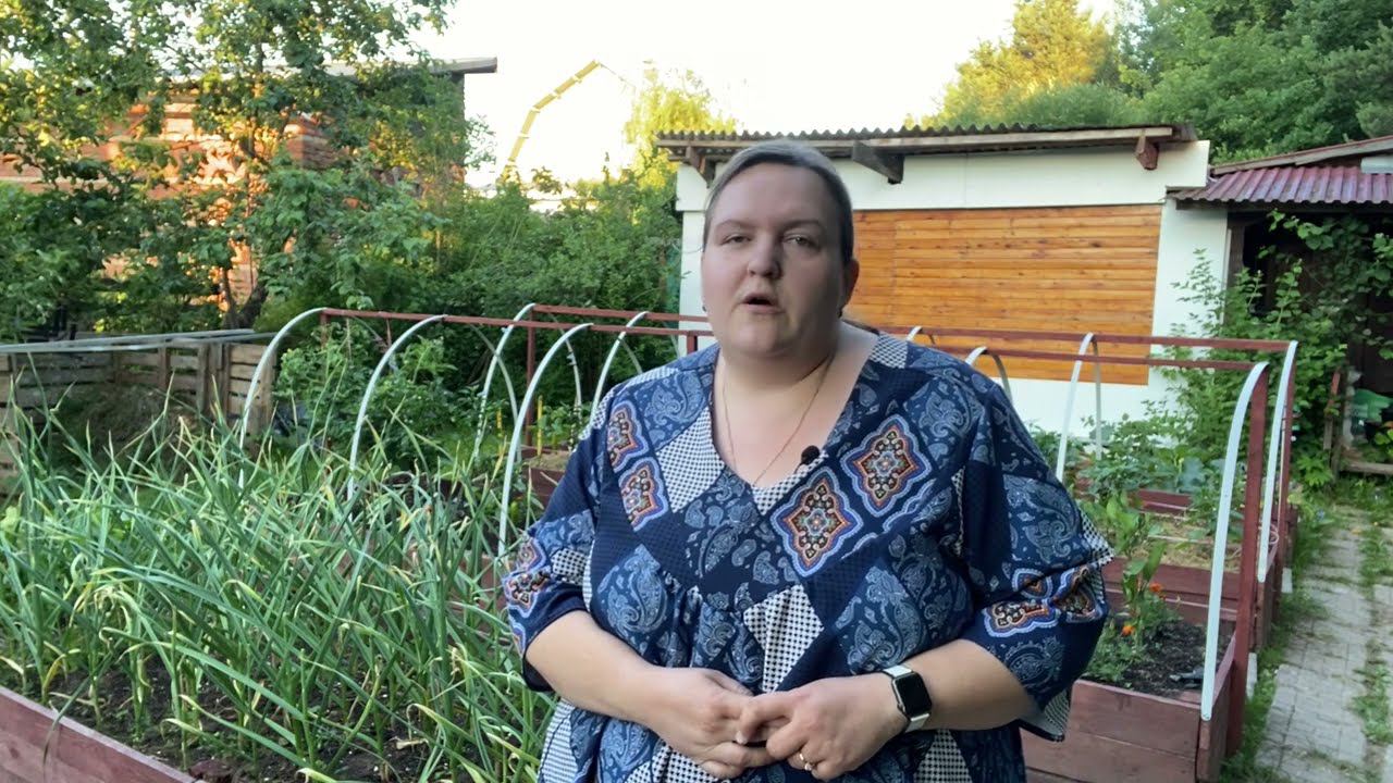 Что надо сделать с чесноком, чтобы он нарастил крупную головку? Делюсь с Вами секретом.