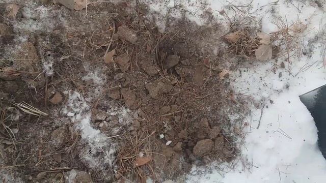 итоги металлокопа 2021года.потёк сальник коленвала ваз2114(. смотреть онлайн