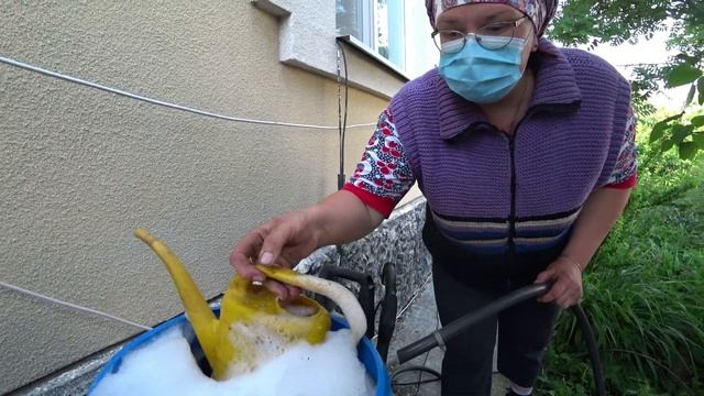 Как быстро и эффективно обработать сад от вредителей и болезней?