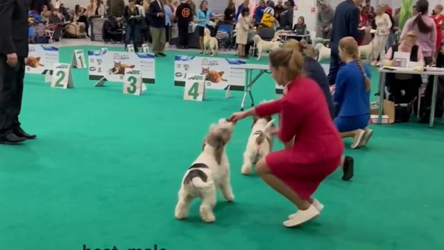 Сабанеевка 2024, день 1й смотреть онлайн