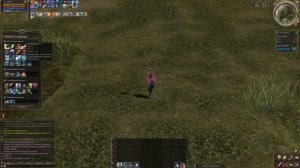 Lineage II Прокачка СХ (повилитель бури)