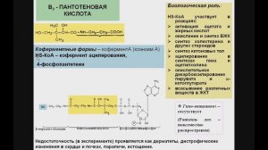 ВИТАМИНЫ 6. Пантотеновая кислота
