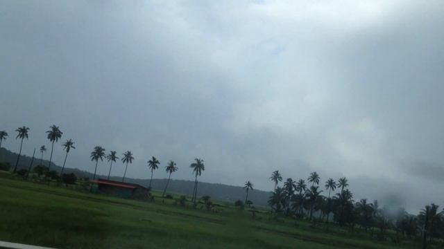 Fields with coconut groves of GUIRIM village Bardez Goa India by Roque Lazarus смотреть онлайн