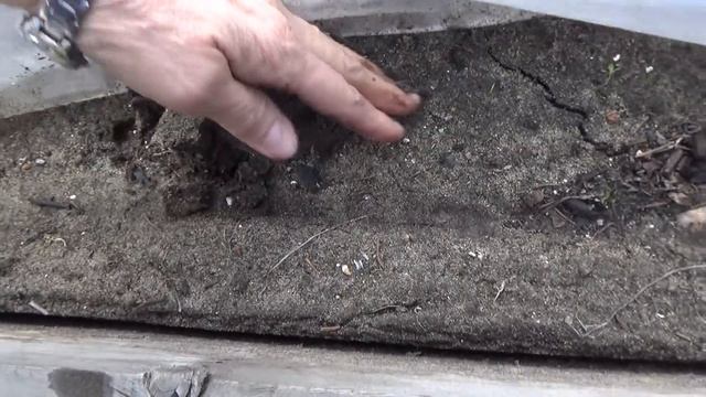 28 марта в Ангарске. смотреть онлайн