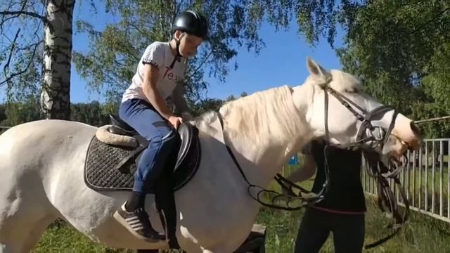 Видео ролики из жизни проекта Цикл Люди и лошади Занятия семейной группы смотреть онлайн