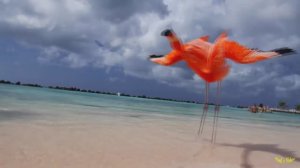 AlimkhanOV A. - You Are My Fantasy Of Love