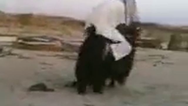 С вами автондил всем пока потписываем смотреть онлайн