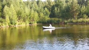Тест электромотора Flover 33 TG
