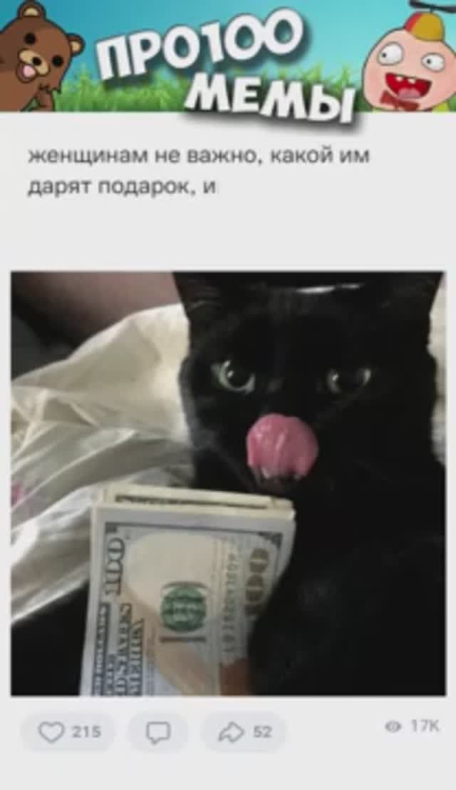 Мемы и котики #мемы #жиза #юмор #мемыскотами #мемыдня #мем #про100мемы #мемытут