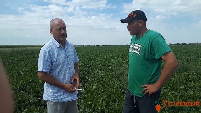 Способ полива сахарной свеклы смотреть онлайн