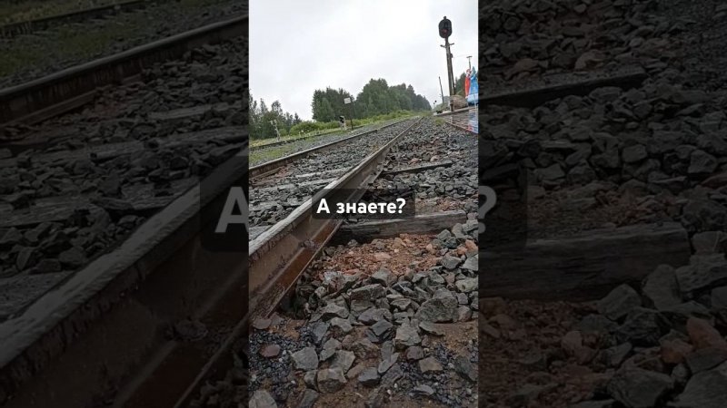 Очередная база мудрых #мудрость #цитаты #стетхем