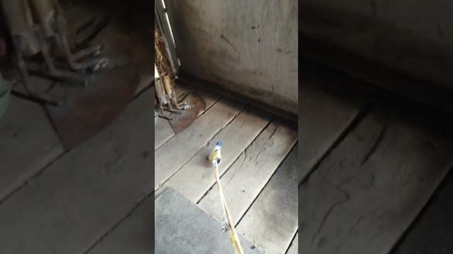 Самодельный электроопрыскиватель