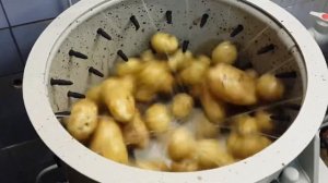 Машина для мойки картофеля Спрут-500К
