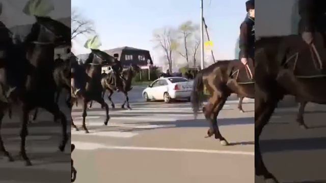 25 апреля день Черкесского флага, Адыгея