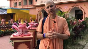 Реализация - ЕС Бхакти Расаяна Сагара Свами - Наша дверь в духовный мир.mp4